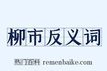 柳市反义词是什么意思的图片